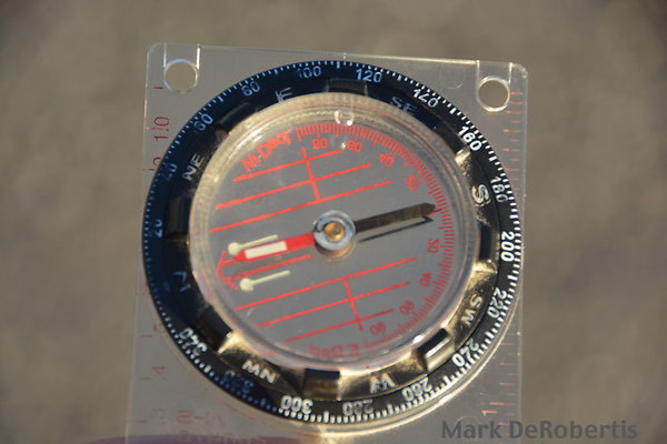 MDR 0081