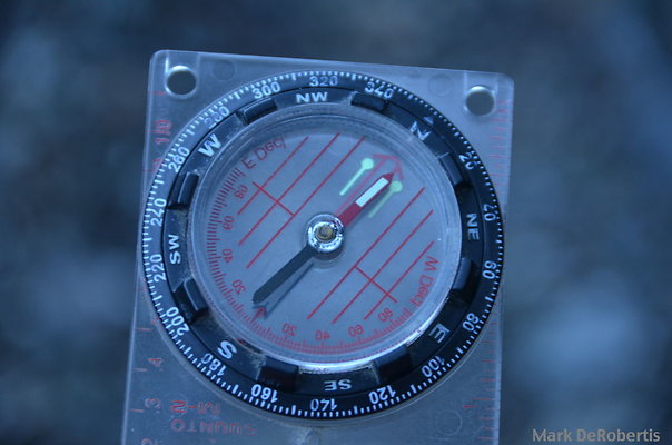 MDR 2028