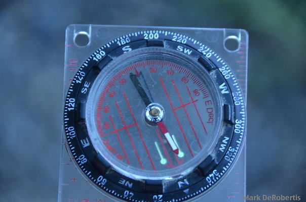 MDR 2022