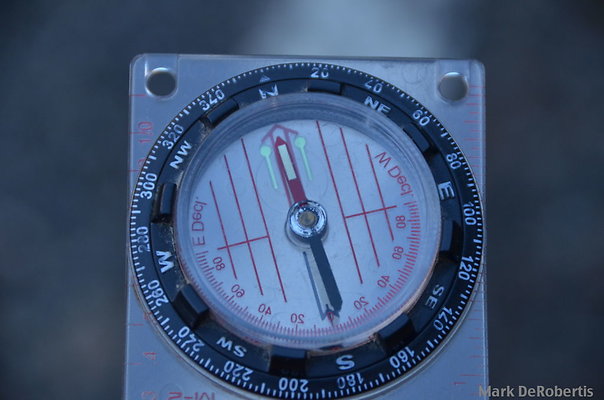 MDR 2077