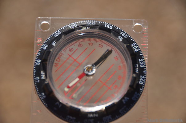 MDR 2317