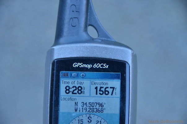 MDR 2006