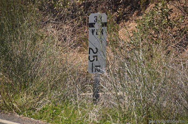 ZMDR 2852