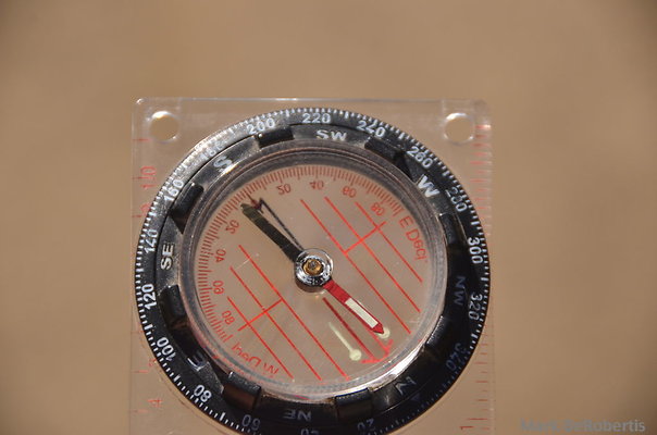 MDR 2878