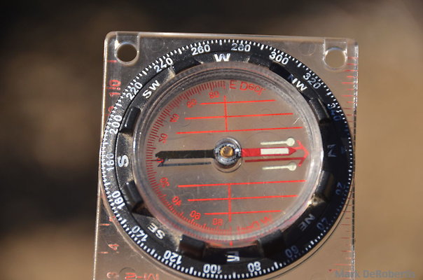 MDR 2905