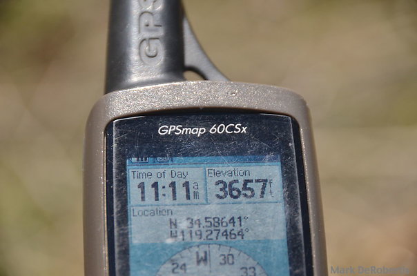 MDR 2473
