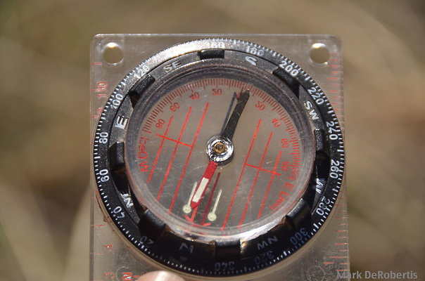 MDR 2471