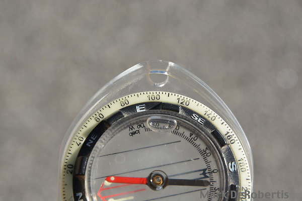 MDR 2877