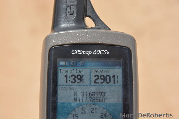 MDR 3347