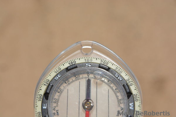 MDR 3244