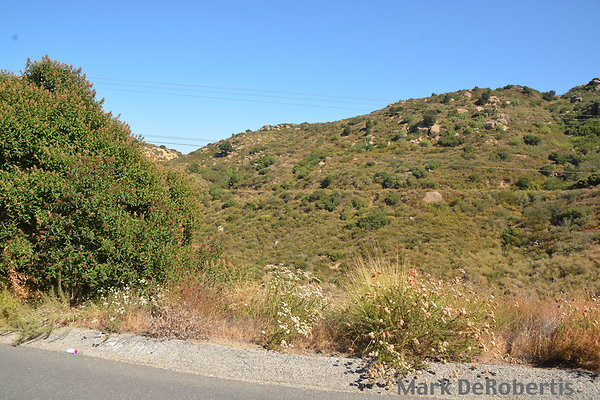 MDR 3859
