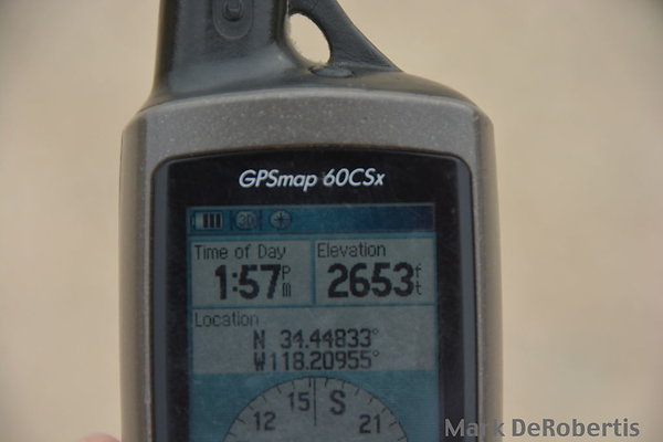 MDR 9113