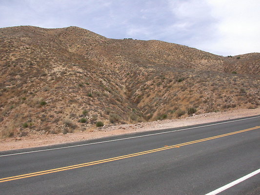 DSCN7146
