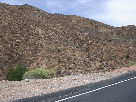 DSCN7135