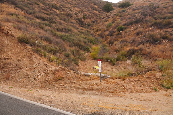 DSC 9341