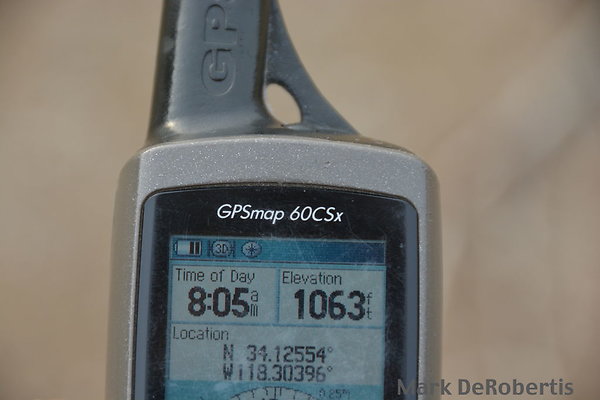 MDR 2397