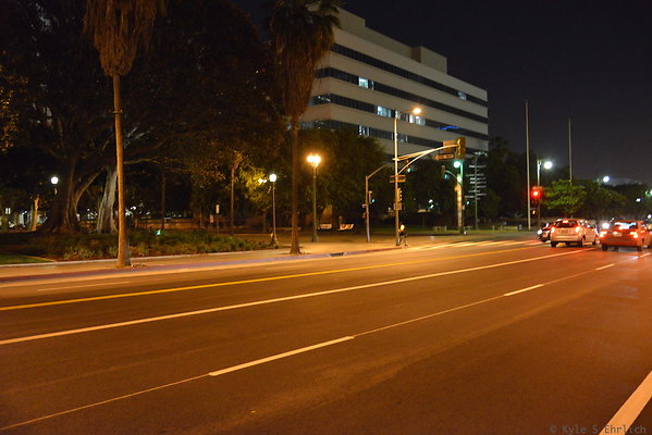 DSC 7008