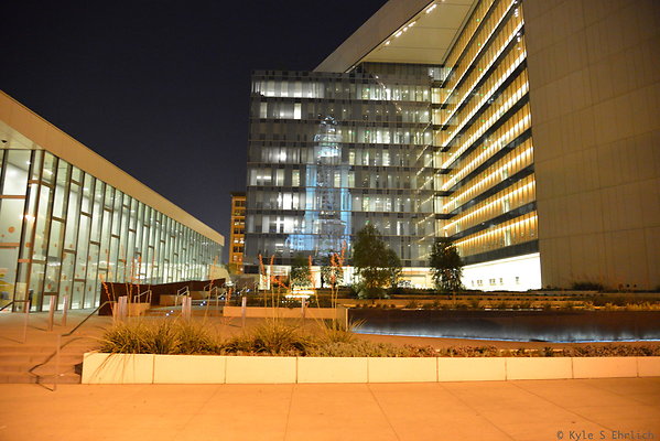 DSC 7018