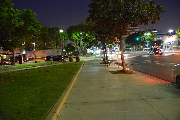 DSC 6922