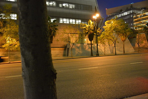 DSC 6950