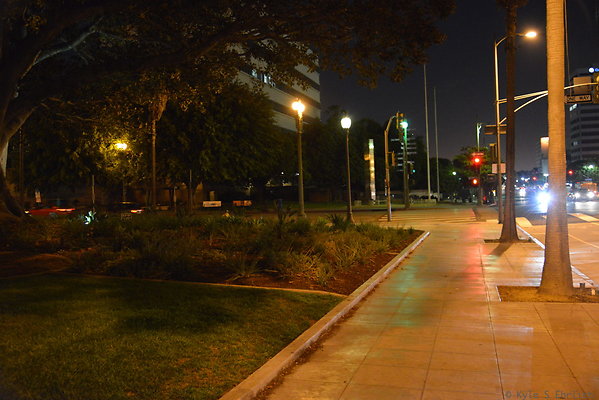 DSC 6965