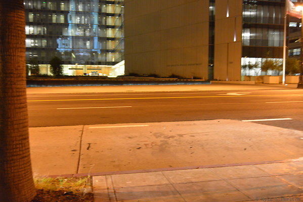 DSC 6979