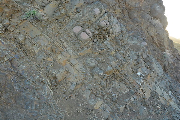 MDR 2731