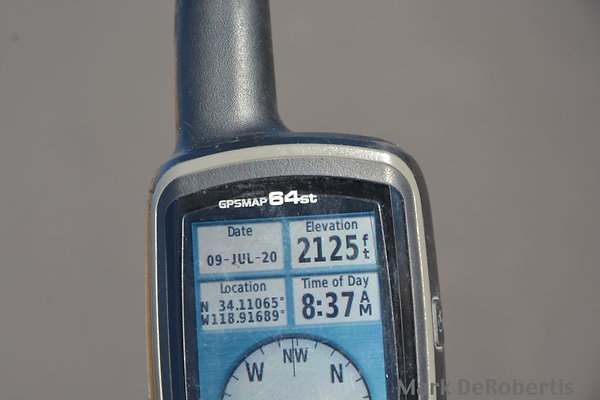 MDR 3134