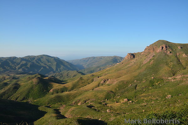 MDR 2967