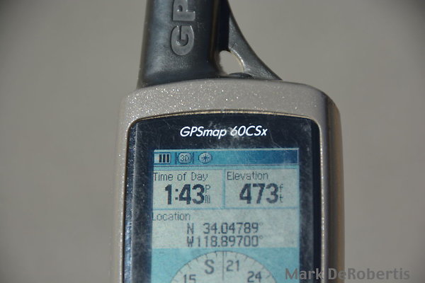 MDR 1517