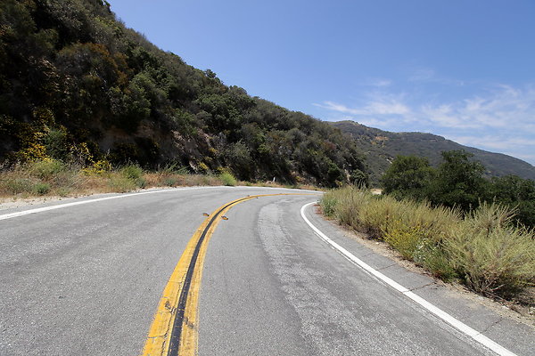 IMG 0575
