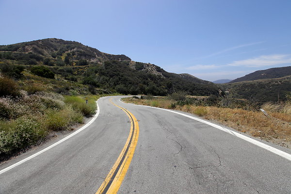IMG 0566