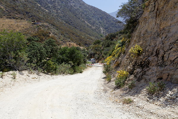 IMG 0537
