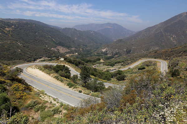 IMG 0536