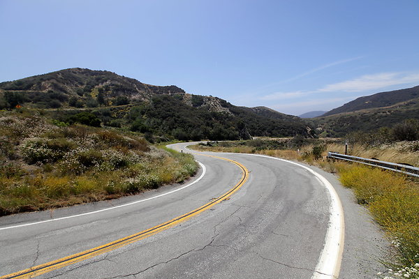 IMG 0569