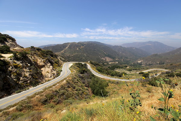 IMG 0540