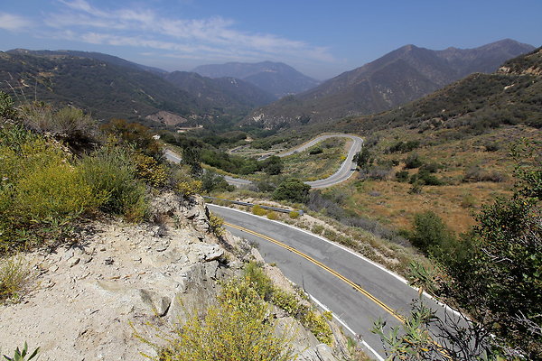 IMG 0533
