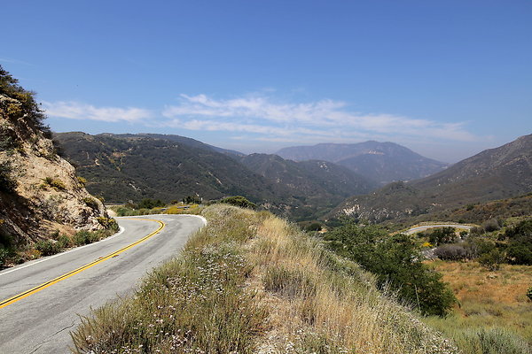 IMG 0524