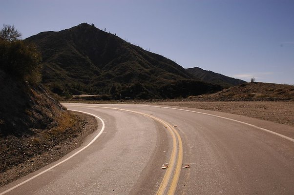 DSC 8952