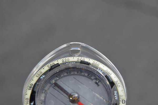 MDR 6019