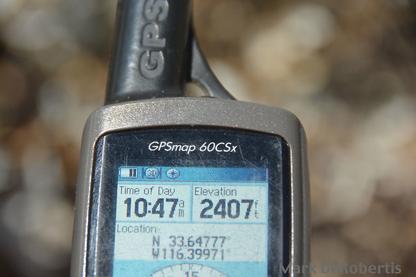 MDR 7445