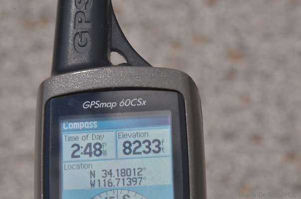 MDR 5979