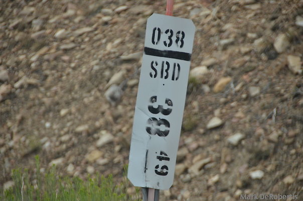 MDR 6036