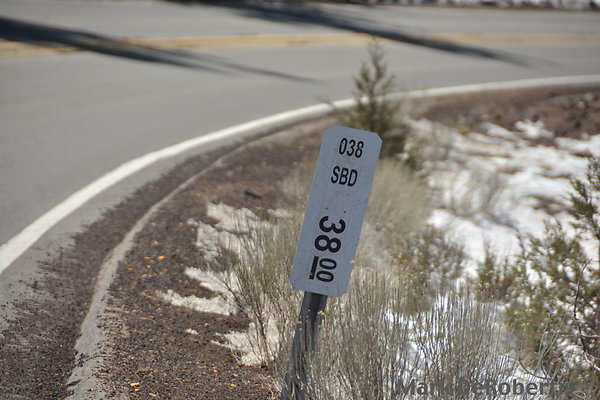 397