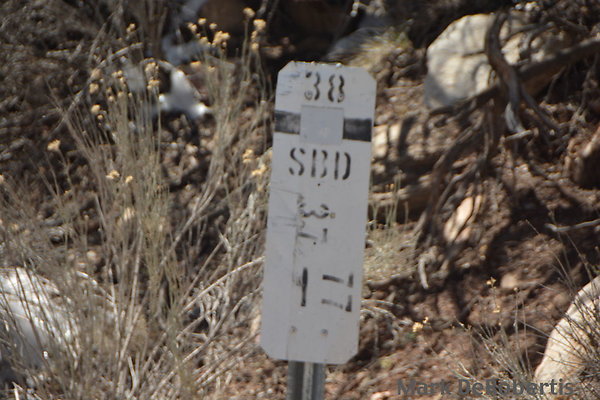 455