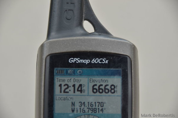 MDR 5519