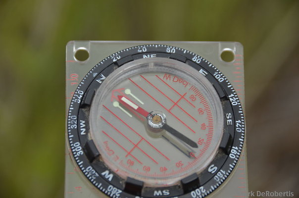 MDR 5577
