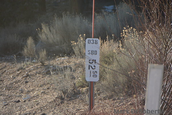 163