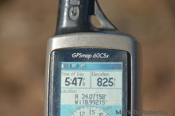 MDR 3237