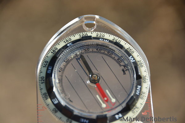 MDR 3173